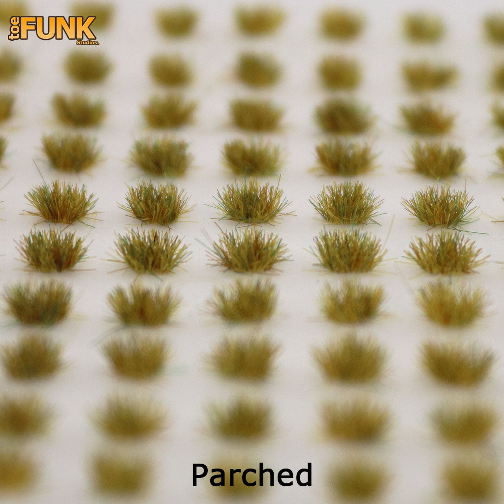 Parched Grass Tufts