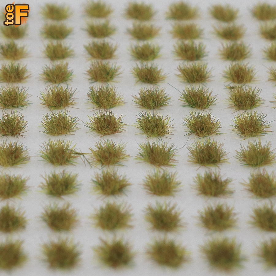 Moorland Grass Tufts