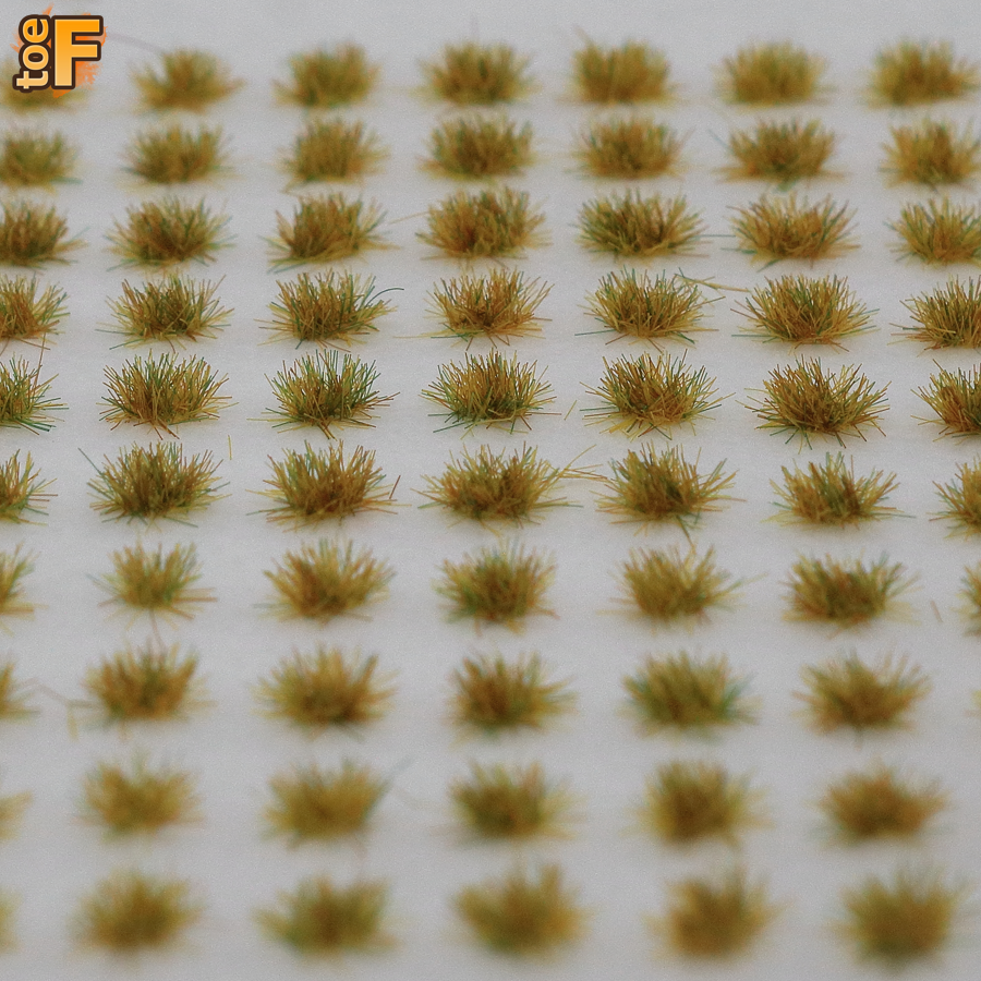 Parched Grass Tufts
