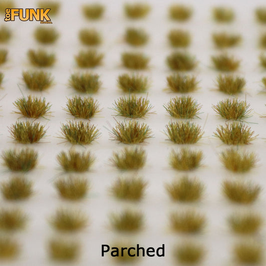 Parched Grass Tufts