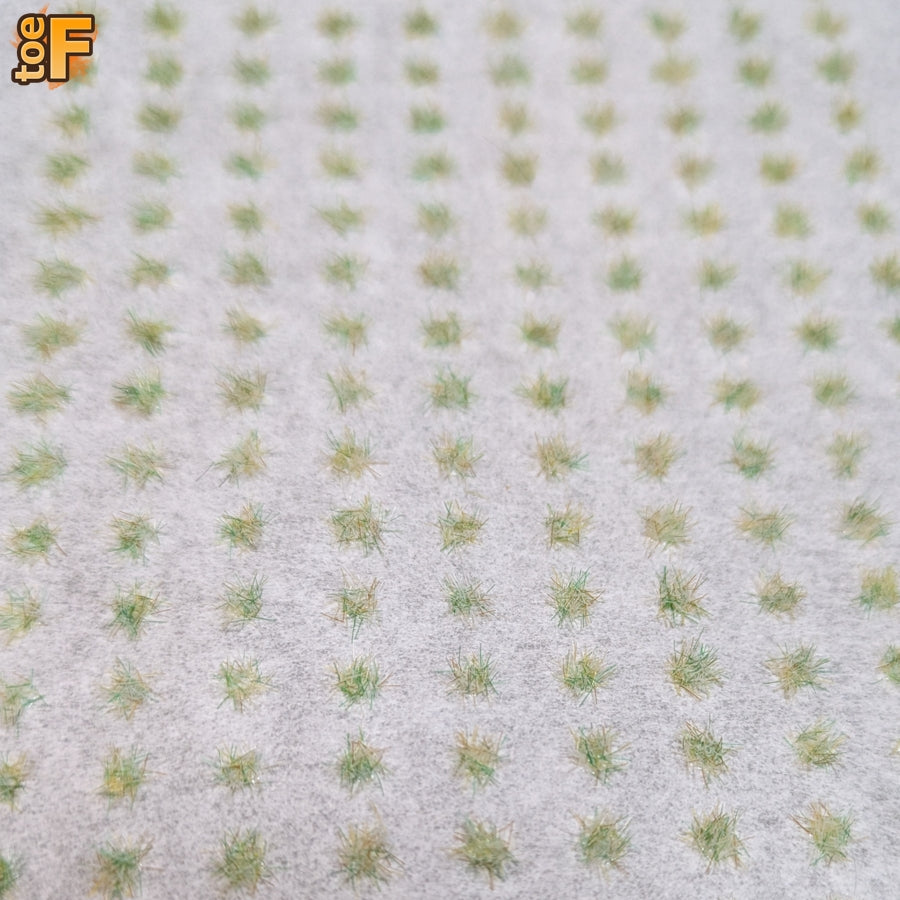 Harsh Frost Grass Tufts